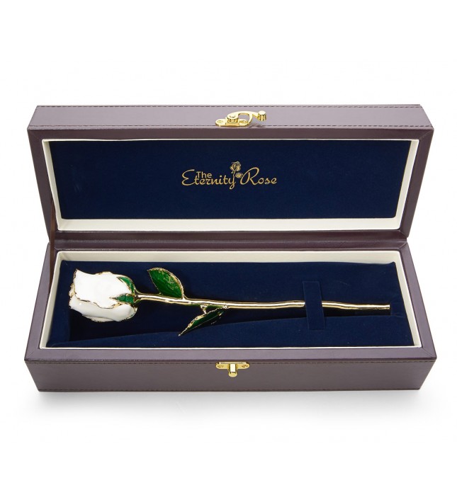 White Tight Bud Glazed Rose Trimmed with 24K Gold 11"