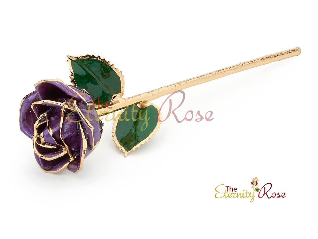 Gifts for Her Purple Glazed Gold Dipped Rose