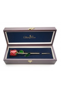 Red Tight Bud Glazed Rose Trimmed with 24K Gold 11"