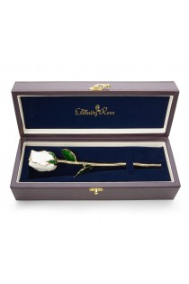 White Tight Bud Glazed Rose Trimmed with 24K Gold 11"