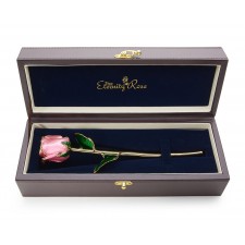 Pink Tight Bud Glazed Rose Trimmed with 24K Gold 11"