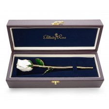 White Tight Bud Glazed Rose Trimmed with 24K Gold 11"